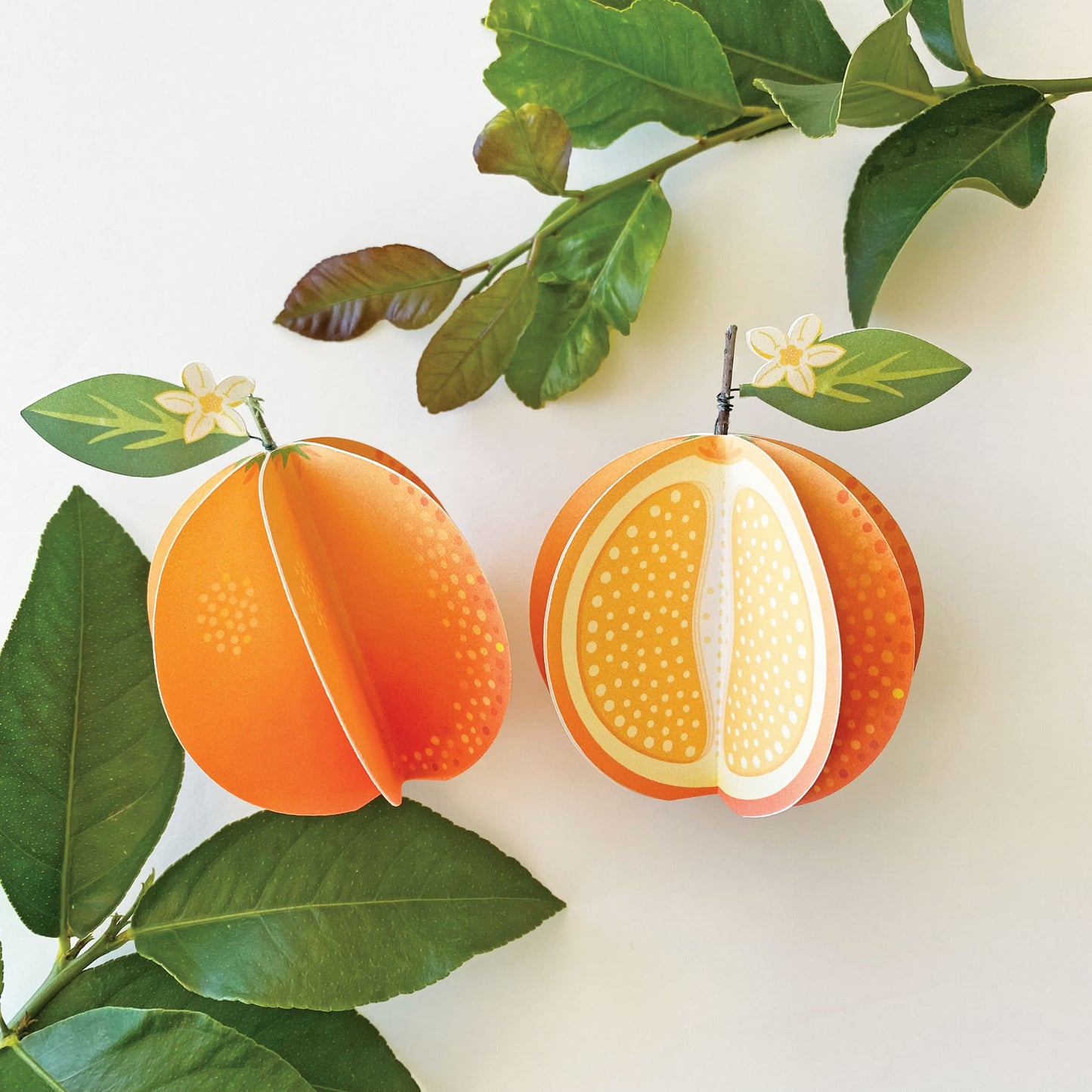 a set of 2 paper oranges, one whole and one cut, shown with citrus leaves