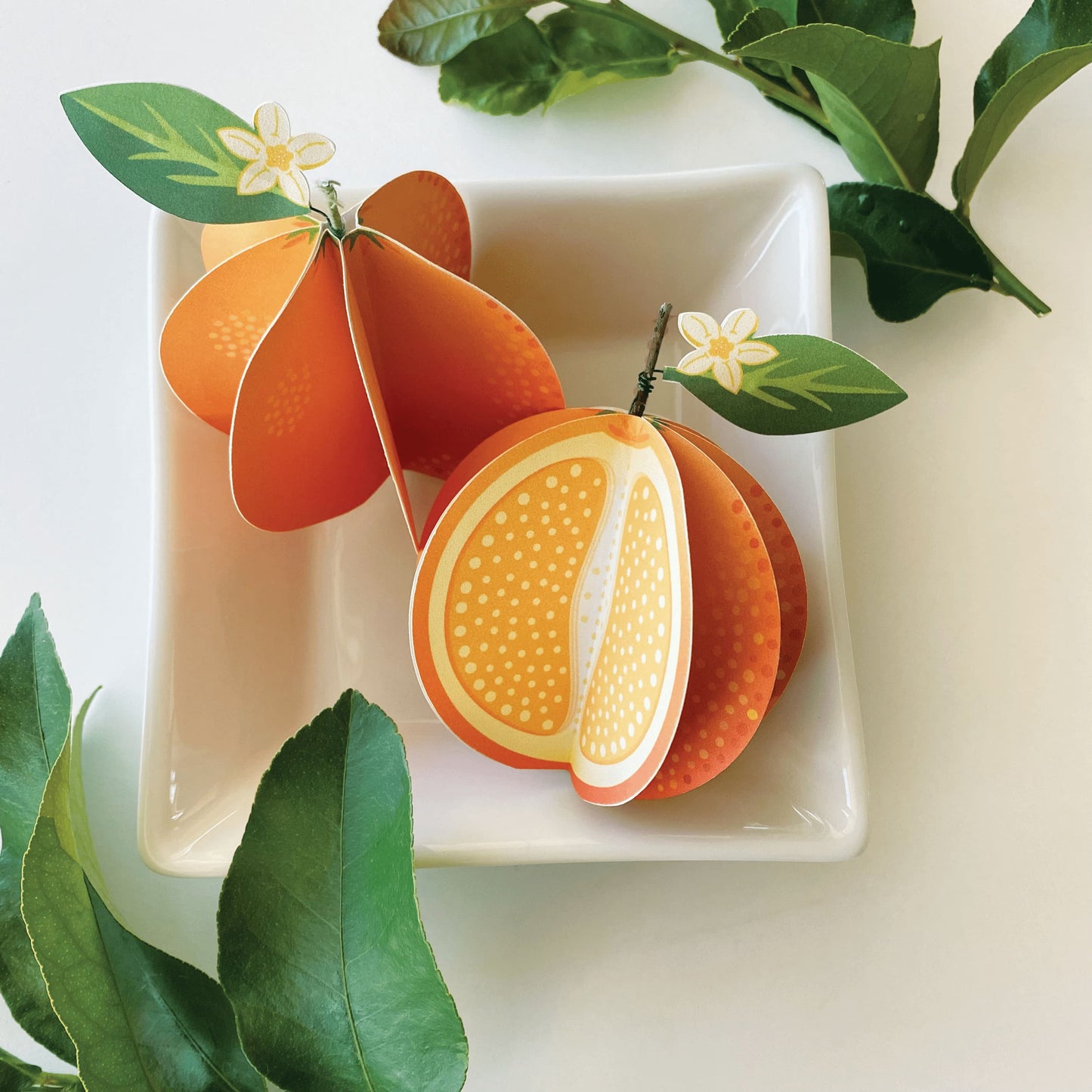 a set of 2 paper oranges, one whole and one cut, shown from top and straight down