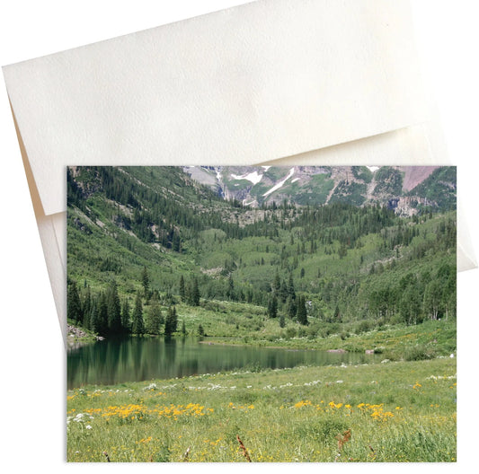 A panoramic photo of a vast, green meadow in Aspen, Colorado. Colorful wildflowers dot the landscape, leading the eye towards a backdrop of majestic, snow-capped mountains.