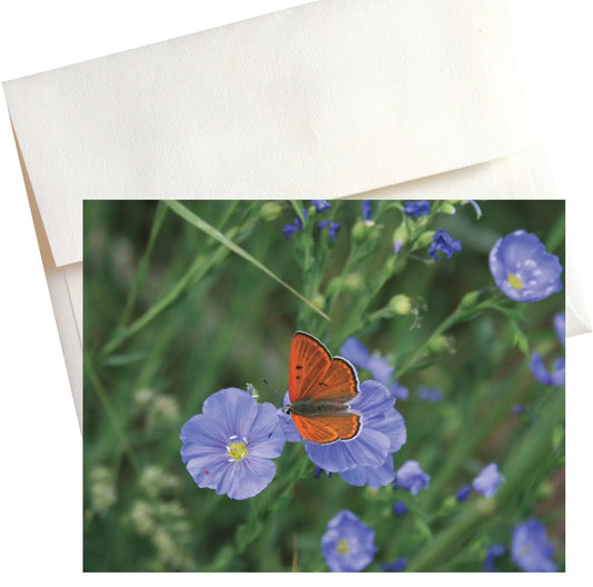 A close-up photo of a colorful butterfly with delicate wings resting on a vibrant blue flax wildflower in a vast, green meadow in Aspen, Colorado.