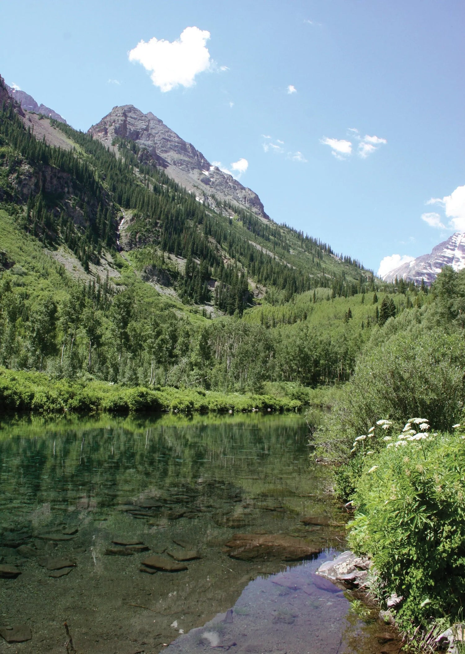 A scenic photo of a calm pond reflecting the vibrant green meadow in Aspen, Colorado during springtime. Wildflowers bloom along the meadow's edge, with snow-capped mountains visible in the distance.