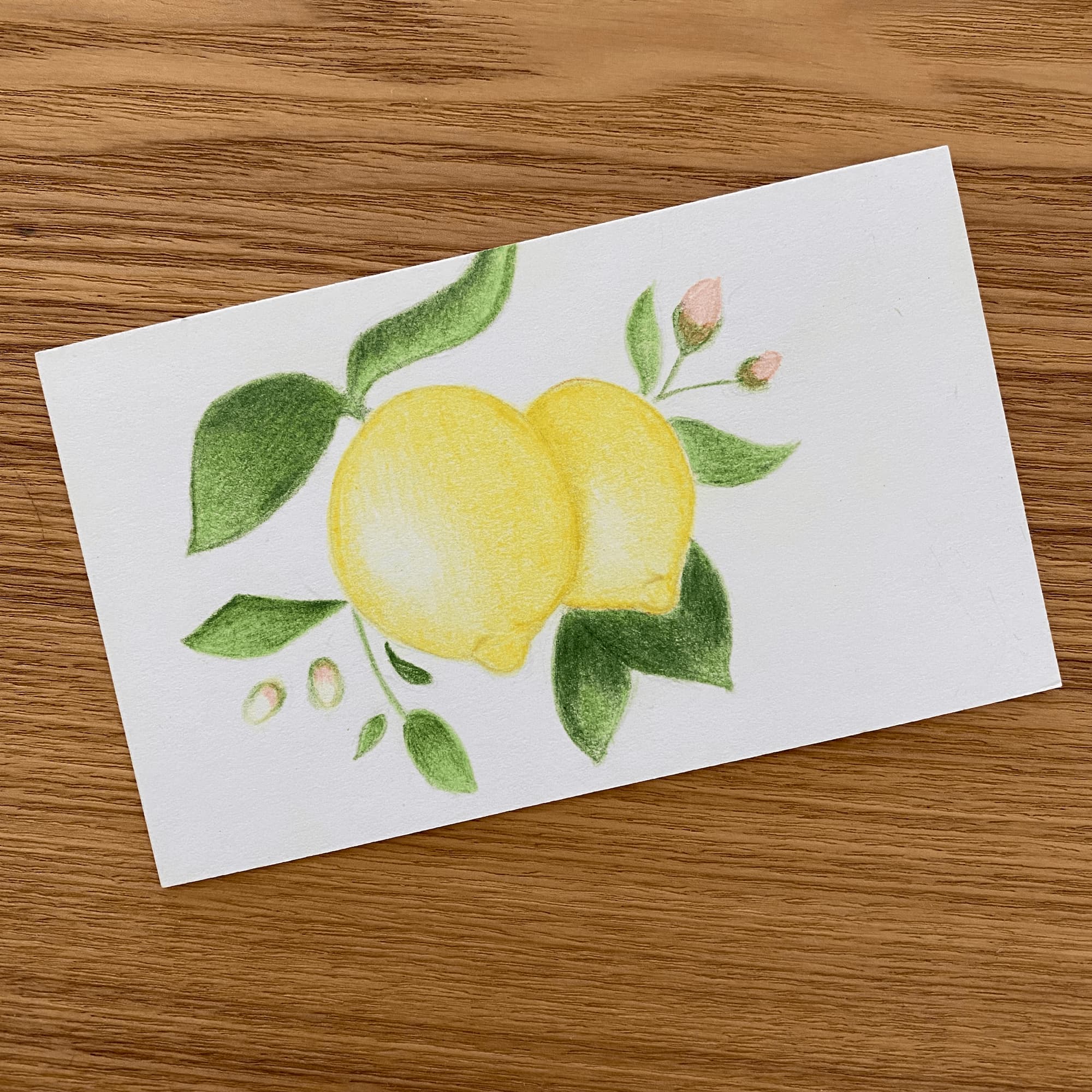 colored pencil illustration on index card of two lemons and leaves.