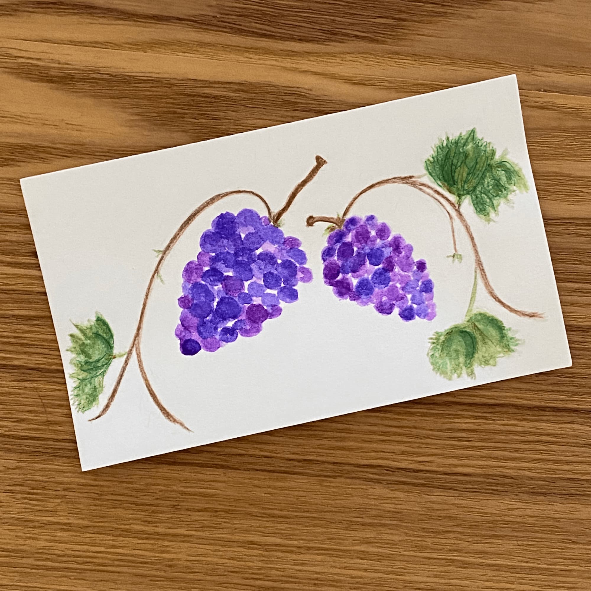 two grape clusters in shades of purple with vines and leaves, drawn with watercolor markers on an index card