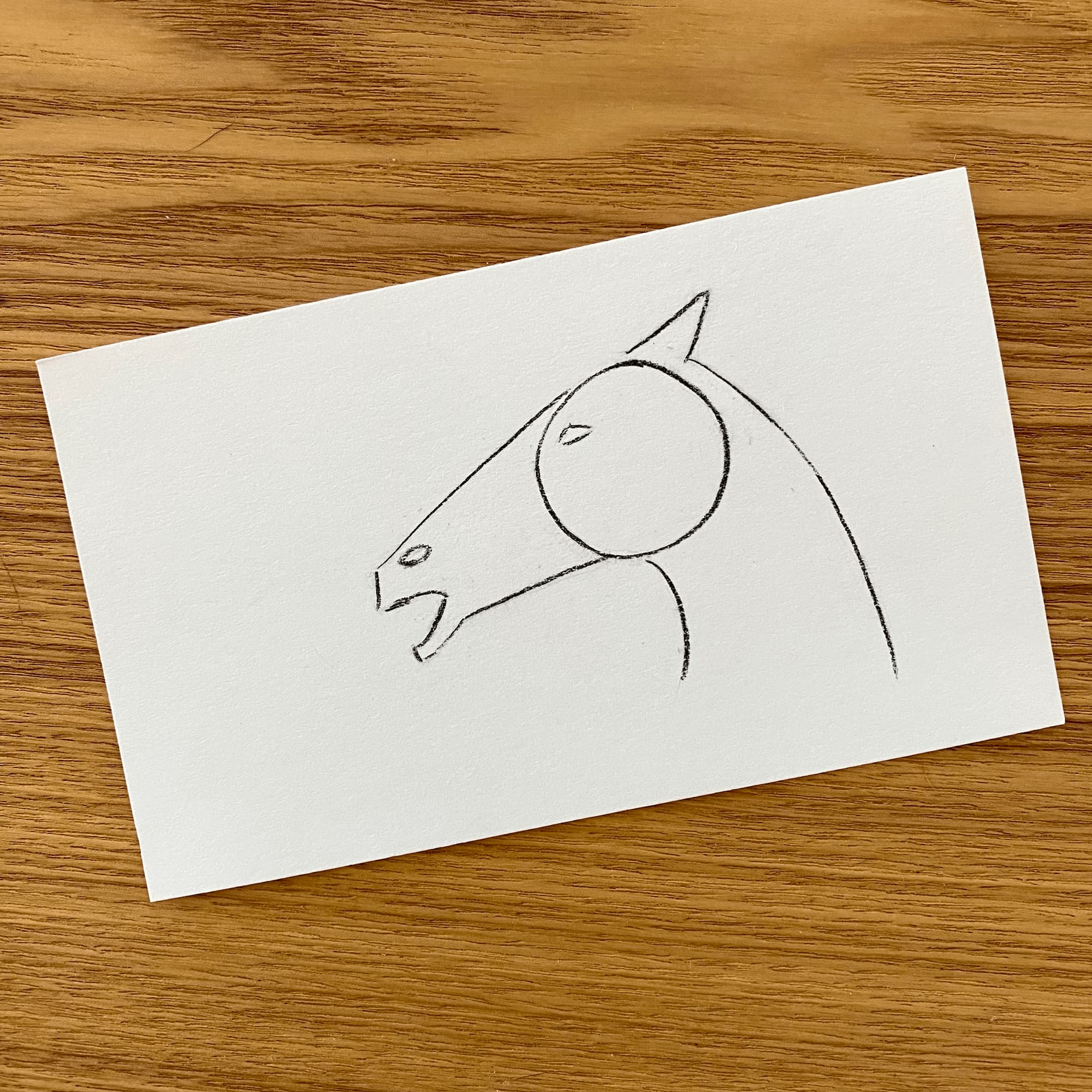 simple, minimalist charcoal drawing of a horse head.