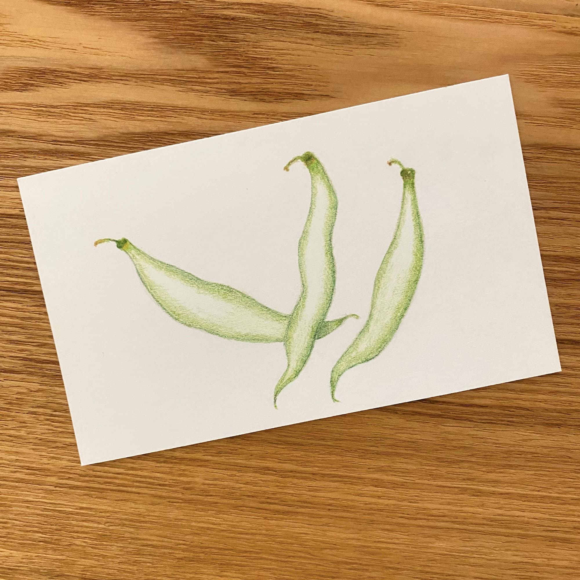 colored pencil illustration of three slightly overlappng green beans