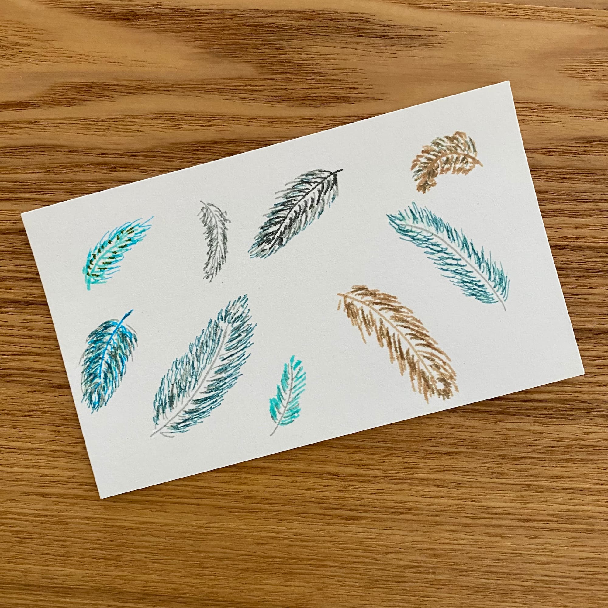 image of several colorful feathers drawn with markers