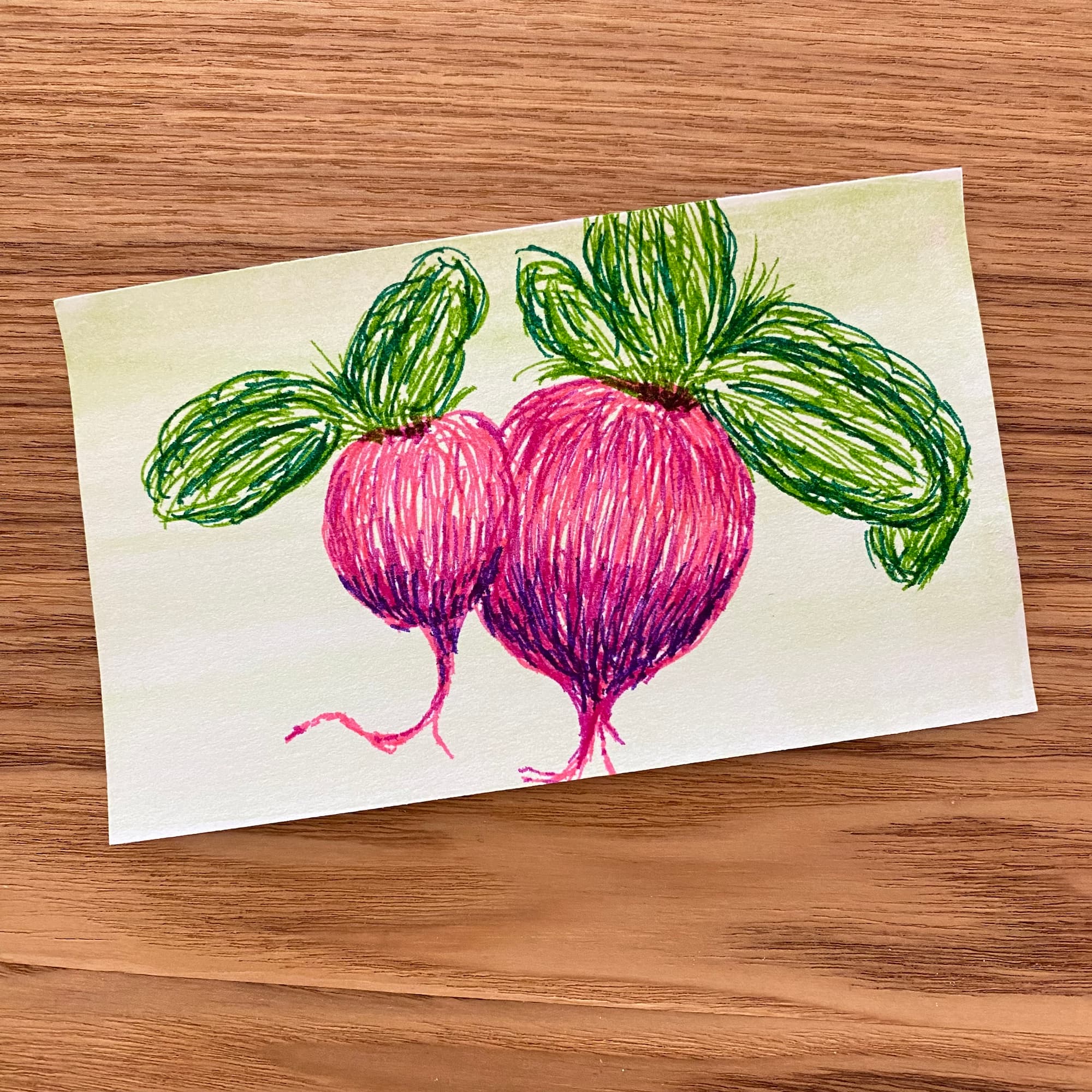 index card sketch of two beets done in fast pen strokes of red, purple and green.