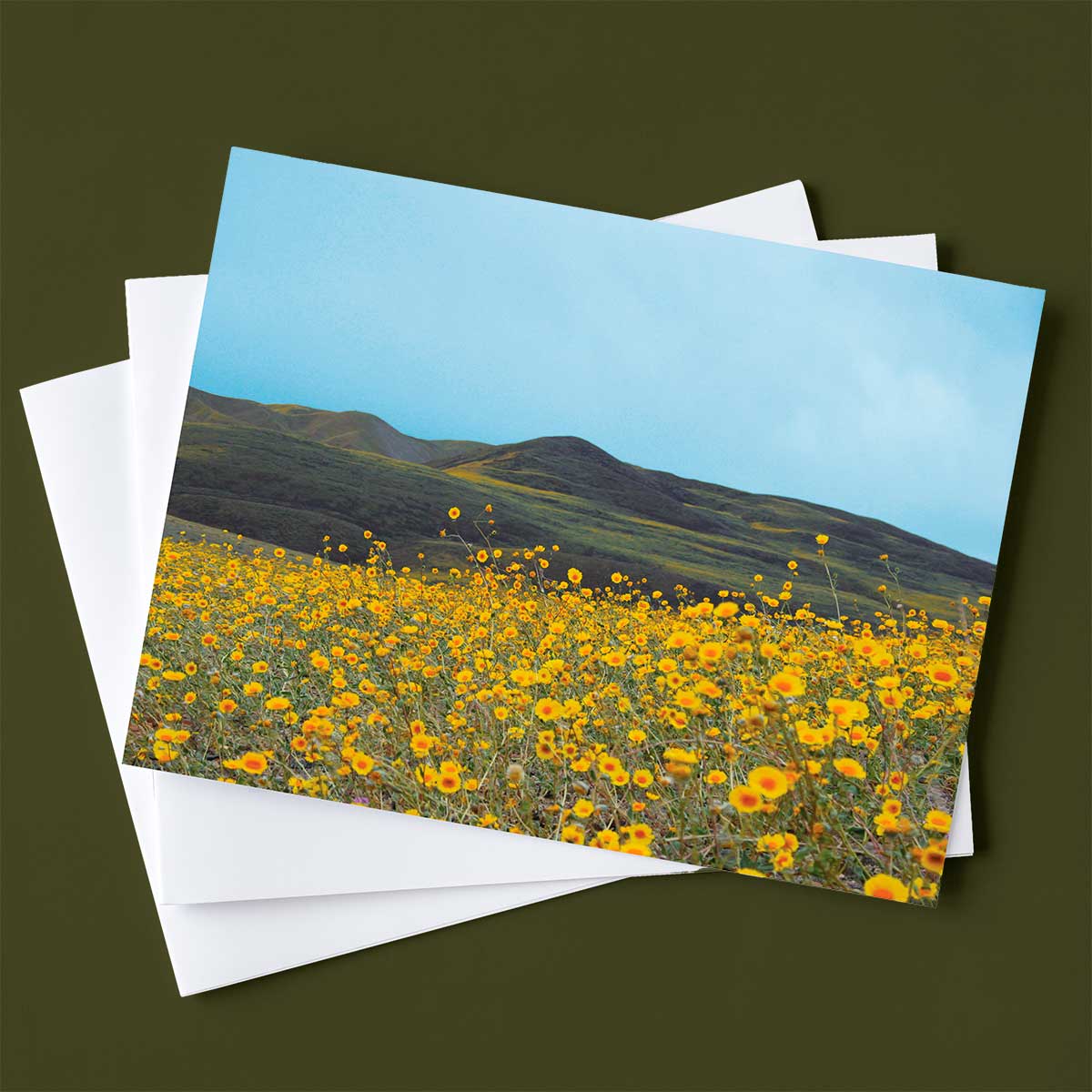 nature note cards and envelopes