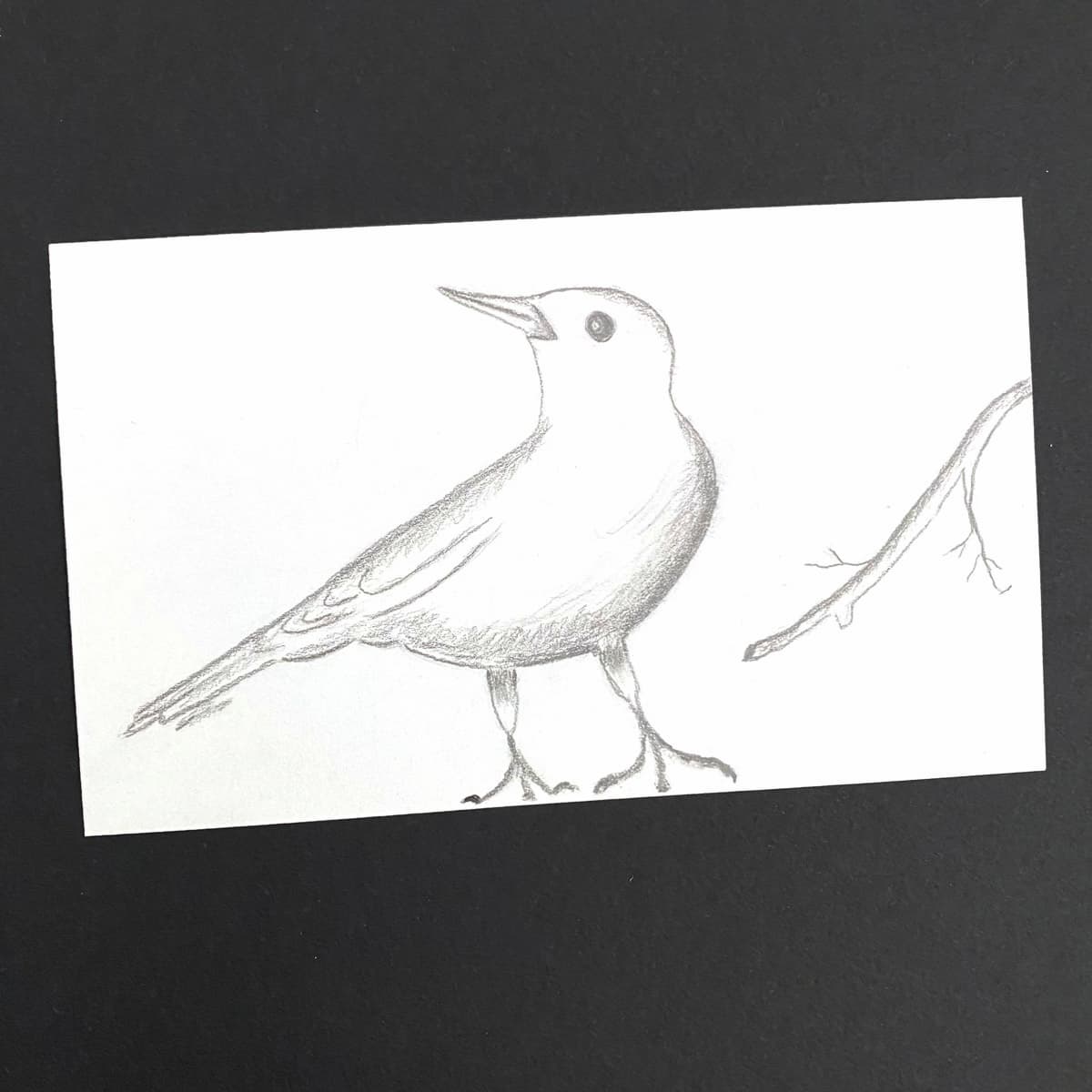 Index card with a bird and branch sketch drawn with a graphite pencil on a black background by Mozaic Studio for ICAD 2025