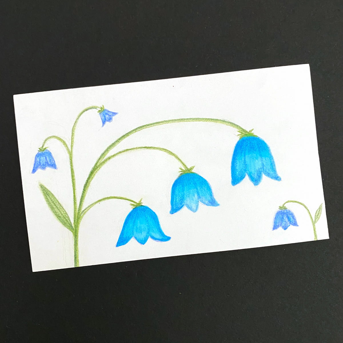 Index card with a illustration of bluebell flowers in gouache and colored pencil on black background by Mozaic Studio for ICAD 2025