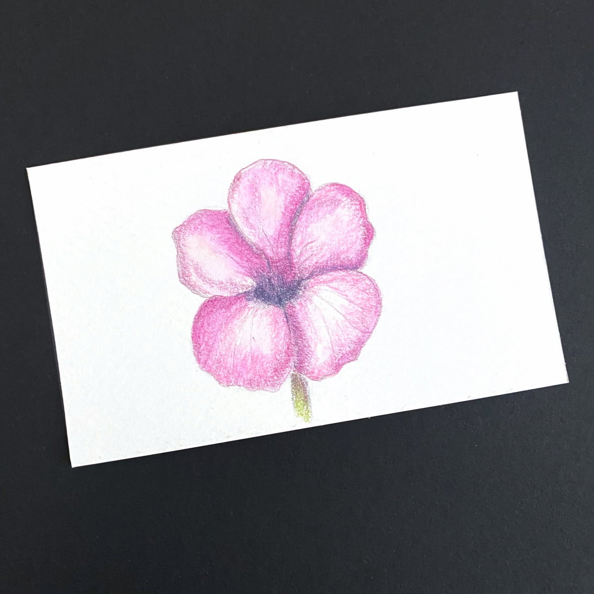 Index card with an allamanda flower drawn with colored pencils on a black background by Mozaic Studio for ICAD 2025