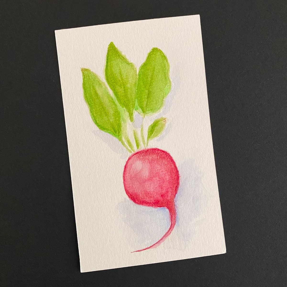 Index card with a watercolor radish  on a black background by Mozaic Studio for ICAD 2025