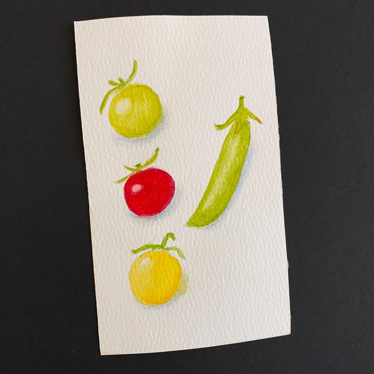 Index card with a watercolor illustration of 3 cherry tomatoes and a snap pea on a black background by Mozaic Studio for ICAD 2025