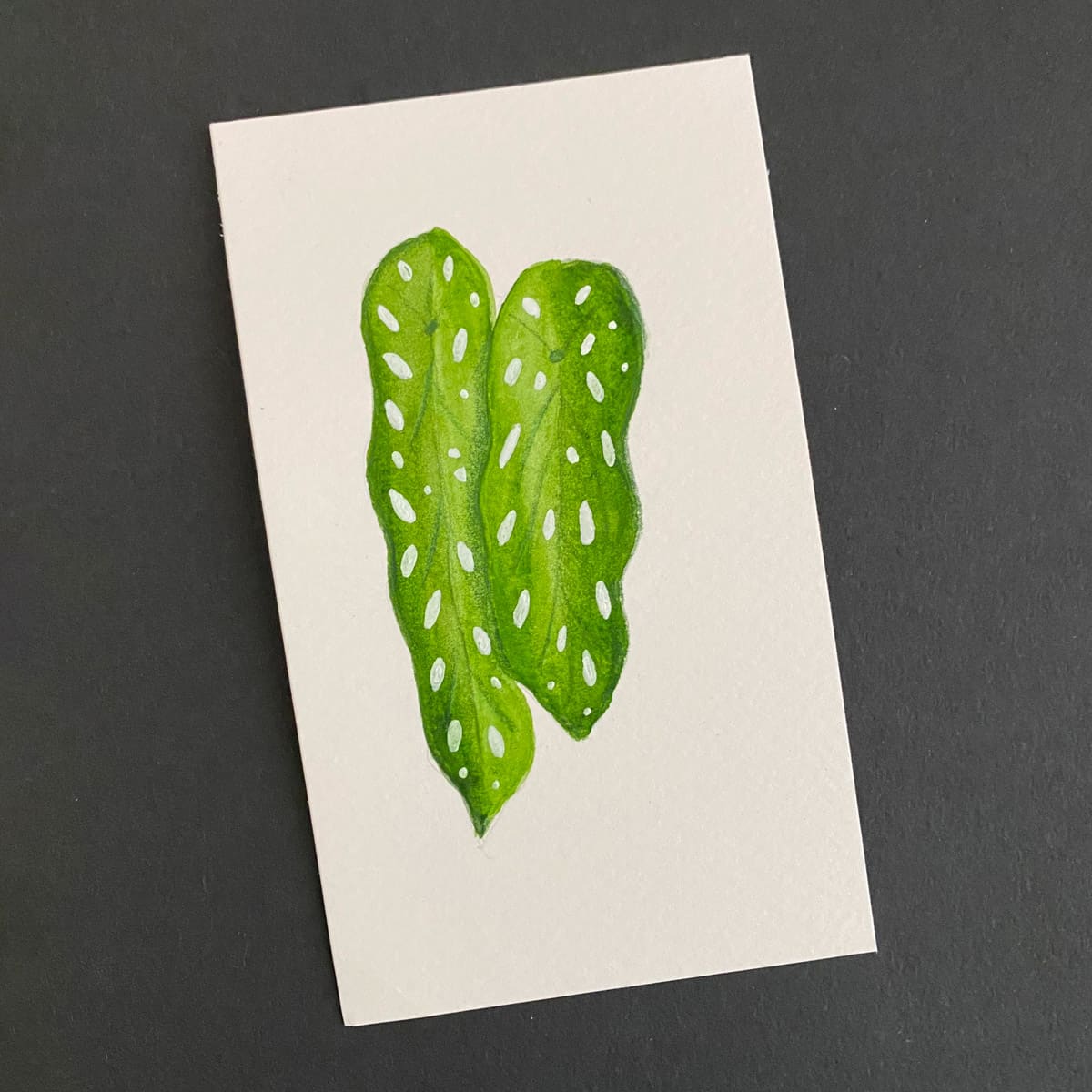 Index card with a watercolor illustration of two monstera leaves on a black background by Mozaic Studio for ICAD 2025