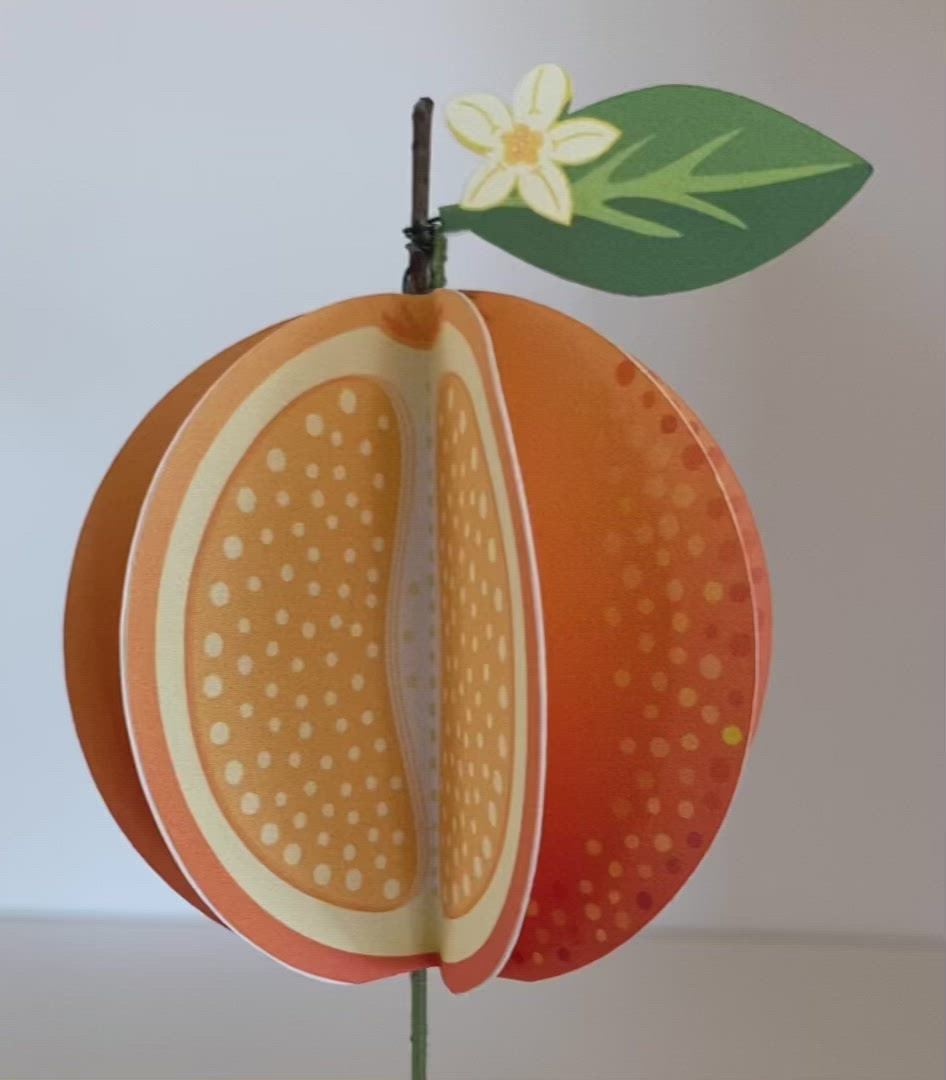 video of a 3D paper orange rotating to see all sides
