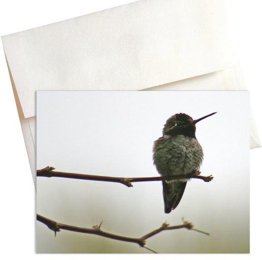 Scotty's Lookout Nature Note Cards Mozaic Studio