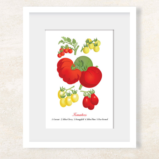 Heirloom Tomatoes Art Print Mozaic Studio