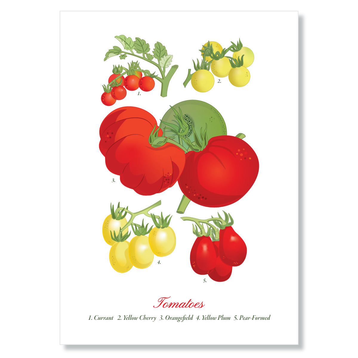 Heirloom Tomatoes Art Print Mozaic Studio