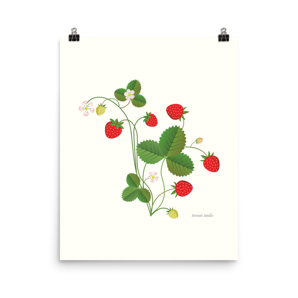 Strawberry No. 2 Giclée Botanical Print Mozaic Studio
