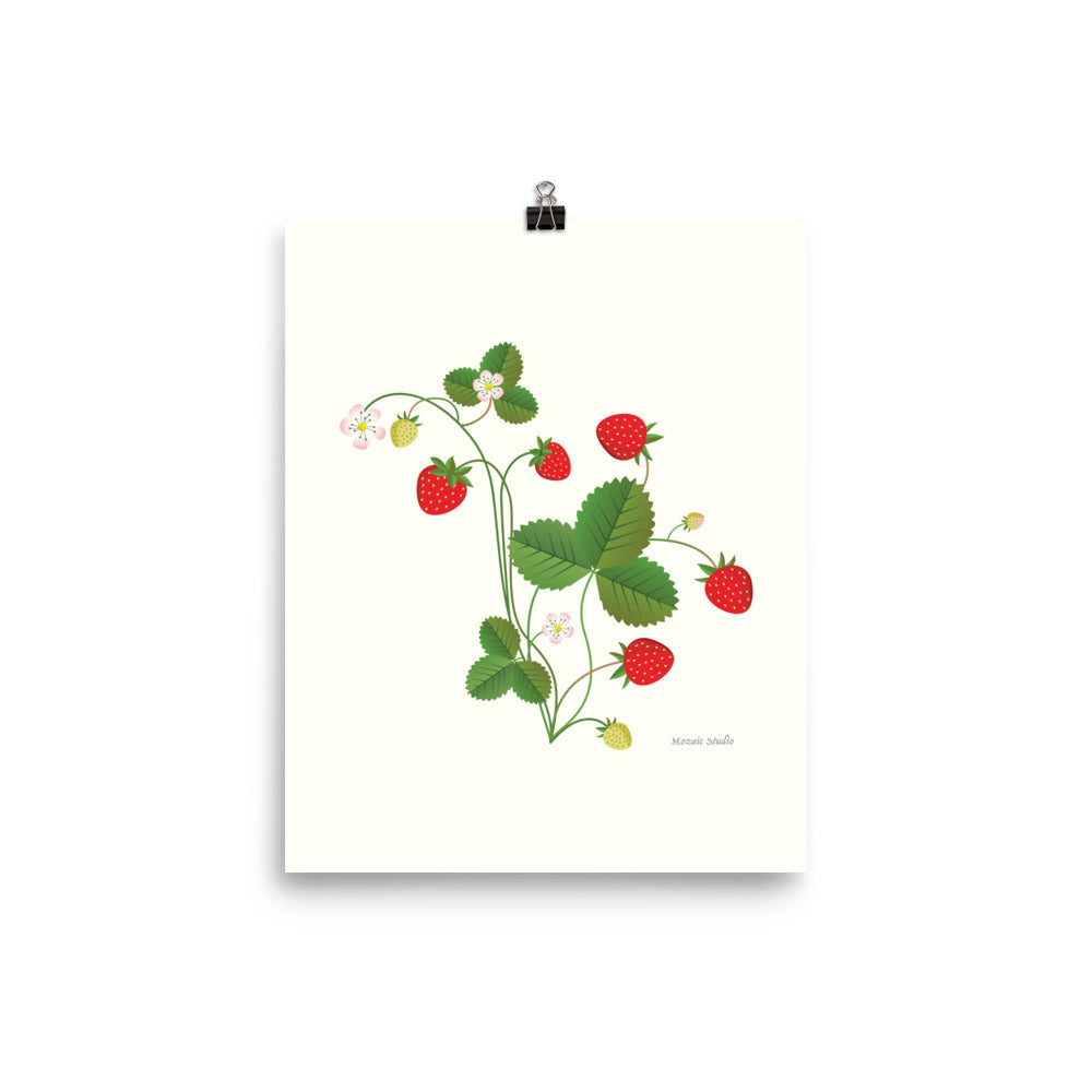 Strawberry No. 2 Giclée Botanical Print Mozaic Studio